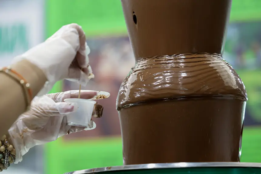  <div class='credito_fotos'>Foto: Pedro Guerreiro / Ag. Pará &nbsp;&nbsp;|&nbsp;&nbsp; <a href='/midias/2026/originais/20260426195054-GF00026950-F00515542.jpg' download><i class='fa-solid fa-download'></i> Download</a></div>