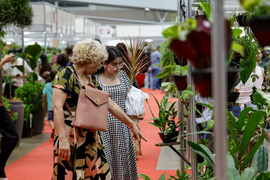  <div class='credito_fotos'>Foto: Pedro Guerreiro / Ag. Pará &nbsp;&nbsp;|&nbsp;&nbsp; <a href='/midias/2026/originais/20260426195057-GF00026950-F00515544.jpg' download><i class='fa-solid fa-download'></i> Download</a></div>