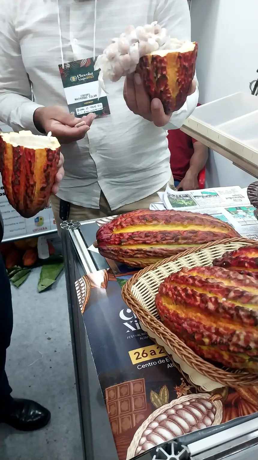 Arquivo /Agência Pará