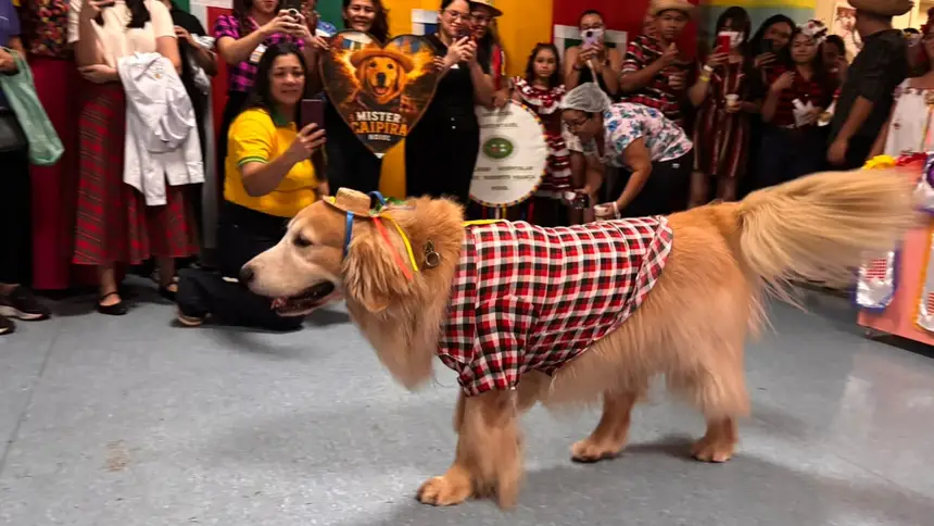 Chico concorreu na categoria MIster Pet