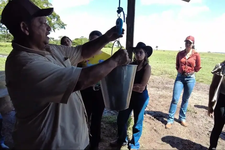 O leite, depois de retirado da búfala, é pesado numa balança de aferição.  