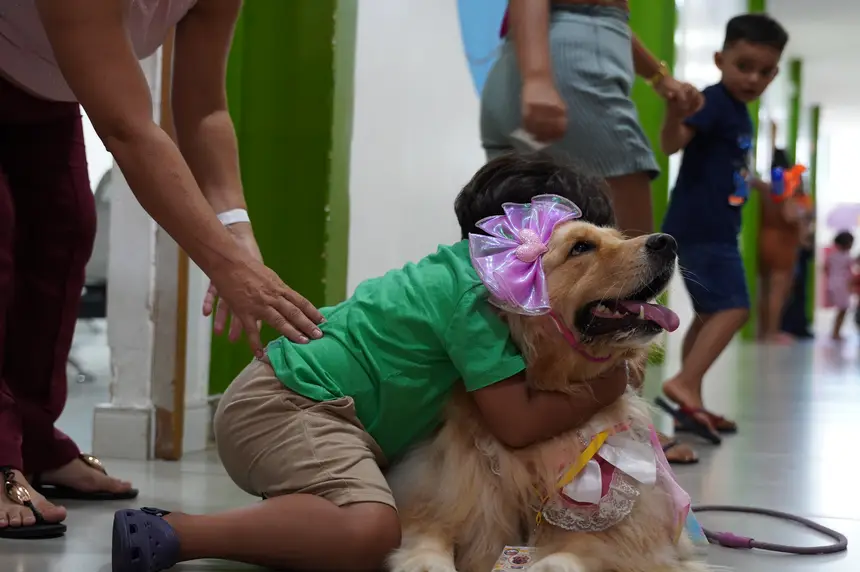 Carinho das crianças nos cães