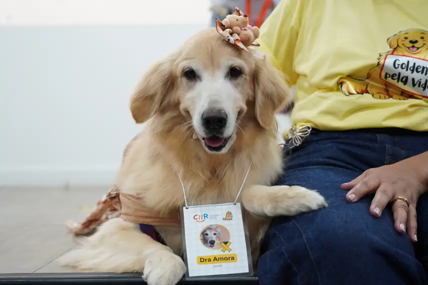 Integrante do Goldens pela Vida