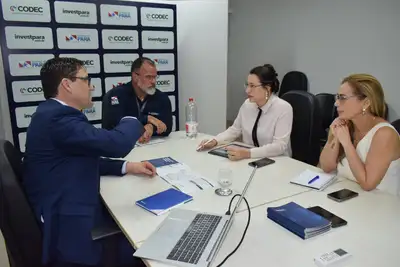 notícia: Codec avança nas tratativas com investidor internacional para implantação de polo sustentável de bambu no Pará