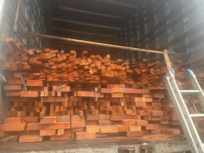 notícia: Sefa apreende 150 portais de madeira vermelha em Cachoeira do Piriá 