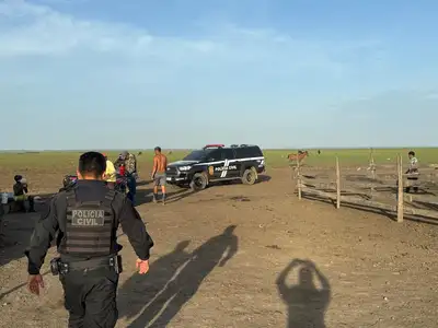 notícia: No Marajó, PC cumpre mandados de busca e apreensão por roubo e furto de gado