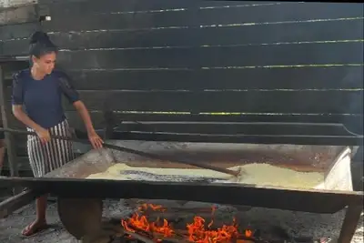 notícia: Emater apoia assentamentos de Afuá na produção de alimentos para cesta-básica 