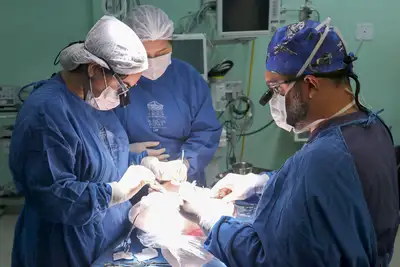 notícia: Santa Casa ultrapassa a marca de 30 transplantes hepáticos e 90% de sobrevida dos pacientes transplantados no instituição