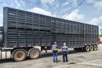 notícia: Sefa apreende 14.232 unidades de bebidas destiladas e 140 cabeças de gado em operações no Pará