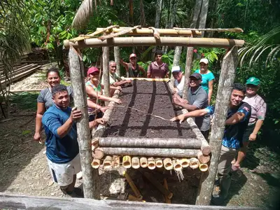 notícia: Emater instala hortas suspensas com palmeiras de açaí em Barcarena