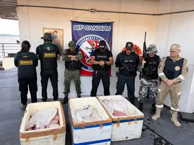 notícia: Base Integrada Fluvial Candiru apreende 300 quilos de pirarucu ilegal em Óbidos