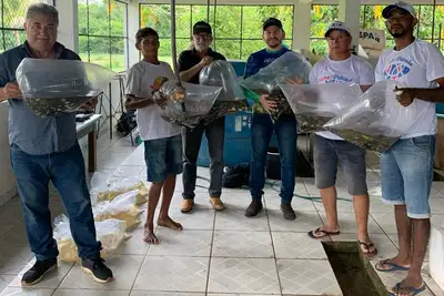 notícia: Governo do Estado fortalece a cadeia produtiva da aquicultura ao repassar mais de um milhão de alevinos a piscicultores