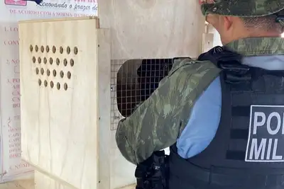 notícia: Agentes da Base Integrada Fluvial Candiru interceptam transporte de animais silvestres