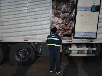 notícia: Sefa apreende 13,3 toneladas de carne bovina congelada e torre autoportante