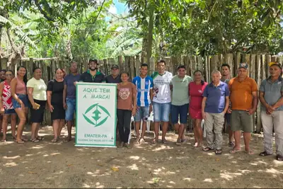 notícia: Emater entrega sementes de malva e máquinas para agricultores de Nova Esperança do Piriá