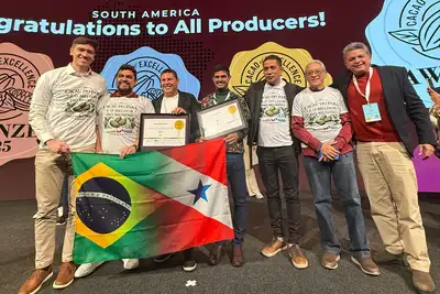notícia: Ouro para produtores paraenses confirma que amêndoas de cacau do Pará estão entre as melhores do mundo