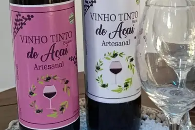 notícia: Com apoio da Emater, ribeirinhos do Marajó produzem “vinho de açaí”