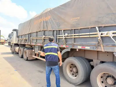 notícia: Sefa apreende seis veículos, ração animal e madeira 