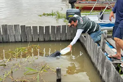 notícia: Semas participa da entrega de base flutuante que reforça monitoramento do Acordo de Pesca no Lago Sapucuá