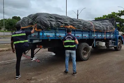 notícia: Sefa apreende nove toneladas de farinha de mandioca com nota viajada