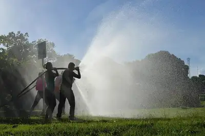 notícia: Semas publica edital de processo seletivo para contratação de 112 brigadistas florestais