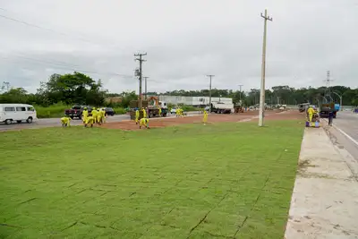 galeria: Internos SEAP trabalho na AV. Liberade