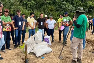 notícia: Intercâmbio de técnicas agroflorestais fortalece regularização ambiental e restauração produtiva no Pará
