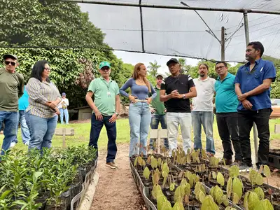 notícia: Ampliação de viveiro de mudas fortalece agricultura sustentável em Monte Alegre