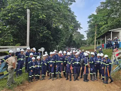 notícia: Safra da castanha-do-pará na Flota do Paru fortalece sustentabilidade no Baixo Amazonas