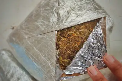 notícia: Polícia apreende mais de 4,4 kg de "supermaconha" em embarcação que seguia para Belém