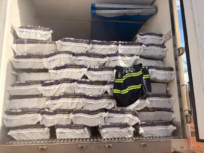 notícia: Sefa apreende mais de 40 toneladas de açaí congelado em Dom Eliseu