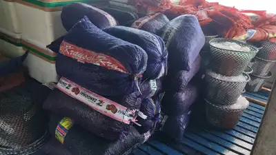 notícia: Policiais da Base Fluvial Candiru identificam transporte irregular de mais de 50 toneladas de açaí