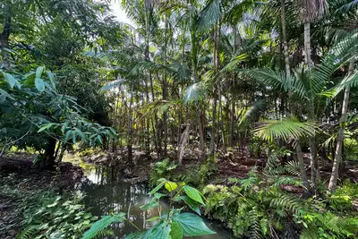 notícia: Sistemas Agroflorestais fortalece a agricultura familiar e beneficia mais de 1,7 mil famílias no Pará