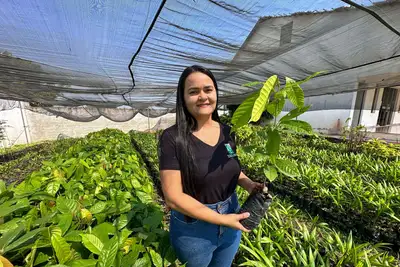 notícia: Sistemas Agroflorestais fortalece a agricultura familiar e beneficia mais de 1,7 mil famílias no Pará