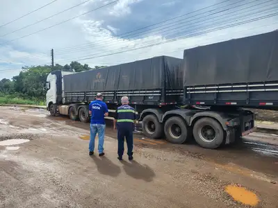notícia: Sefa apreende mais de 17 toneladas de mel de abelha em Cachoeira do Piriá