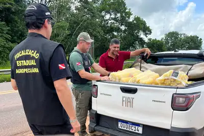 notícia: Agência de Defesa Agropecuária do Pará (Adepará) realiza operação Semana Santa