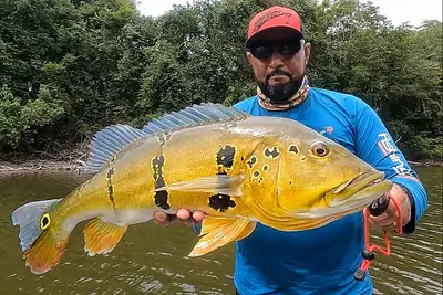 notícia: Pará regulamenta pesca esportiva e fortalece política ambiental na Amazônia Oriental