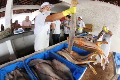 notícia: Preços praticados na Semana do Pescado variam entre R$ 5 a R$ 82 conforme a tabela divulgada pela Sedap