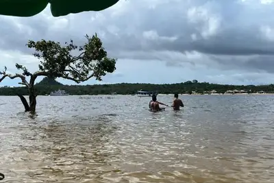 notícia: Socioeducandos da Fasepa encerram projeto com imersão cultural em Alter do Chão