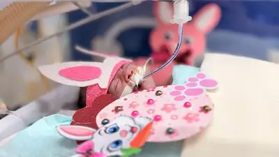 notícia: Hospital de Clínicas promove ensaio fotográfico de Páscoa om bebês internados