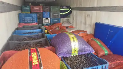 notícia: Sefa apreende mais de 43 toneladas de açaí e 63 mil litros de óleo diesel