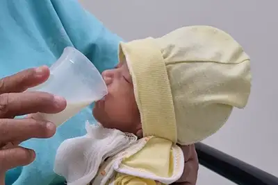 notícia: Santa Casa realiza I Jornada do Banco de Leite Humano para fortalecer rede de doação no Pará