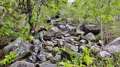 notícia: Ideflor-Bio destaca protagonismo comunitário e preservação no Parque de Monte Alegre
