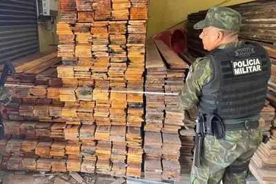 notícia: Operação Arco-Verde apreende 22 m³ de madeira irregular em Icoaraci, em Belém