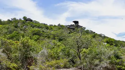 notícia: Parques estaduais do Pará abrem normalmente no feriadão de Tiradentes