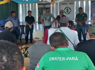 notícia: Emater realiza mutirão de emissão de Cadastro Nacional da Agricultura Familiar 