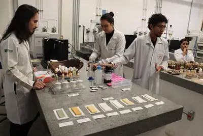 notícia: PCT Guamá abre portas com programação especial pelo Dia Mundial da Criatividade