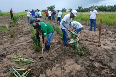 notícia: Emater instala 'Quintal Produtivo' para capacitar agricultores de todo o Pará 