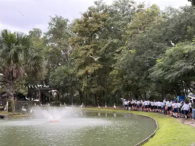 notícia: Mais de 140 crianças atendidas em programa da FAB visitam o Mangal das Garças