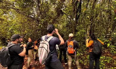 notícia: ’Vem Passarinhar Marituba’ abre programação de 2026 e reúne observadores no Refúgio Metrópole da Amazônia